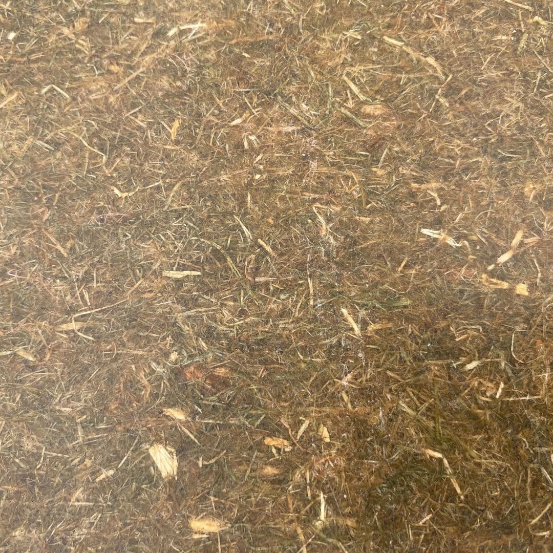 Bast Board Texture
