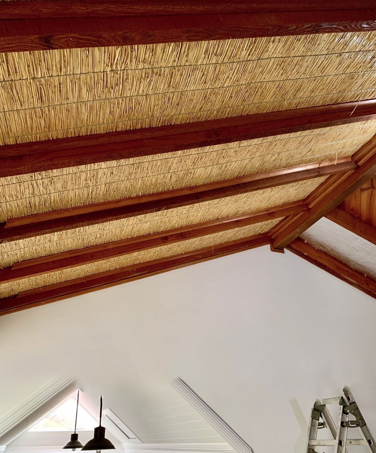 Solomit Ceiling