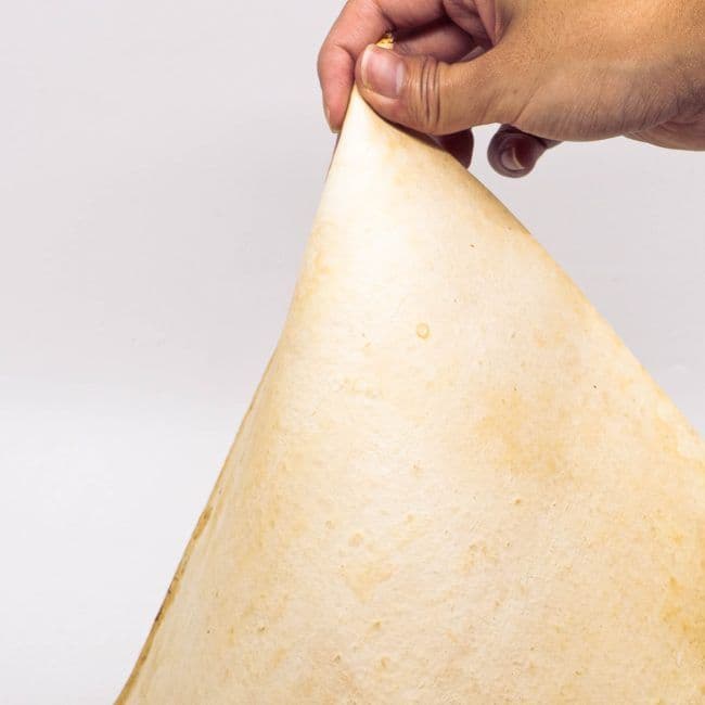 Bio based leather