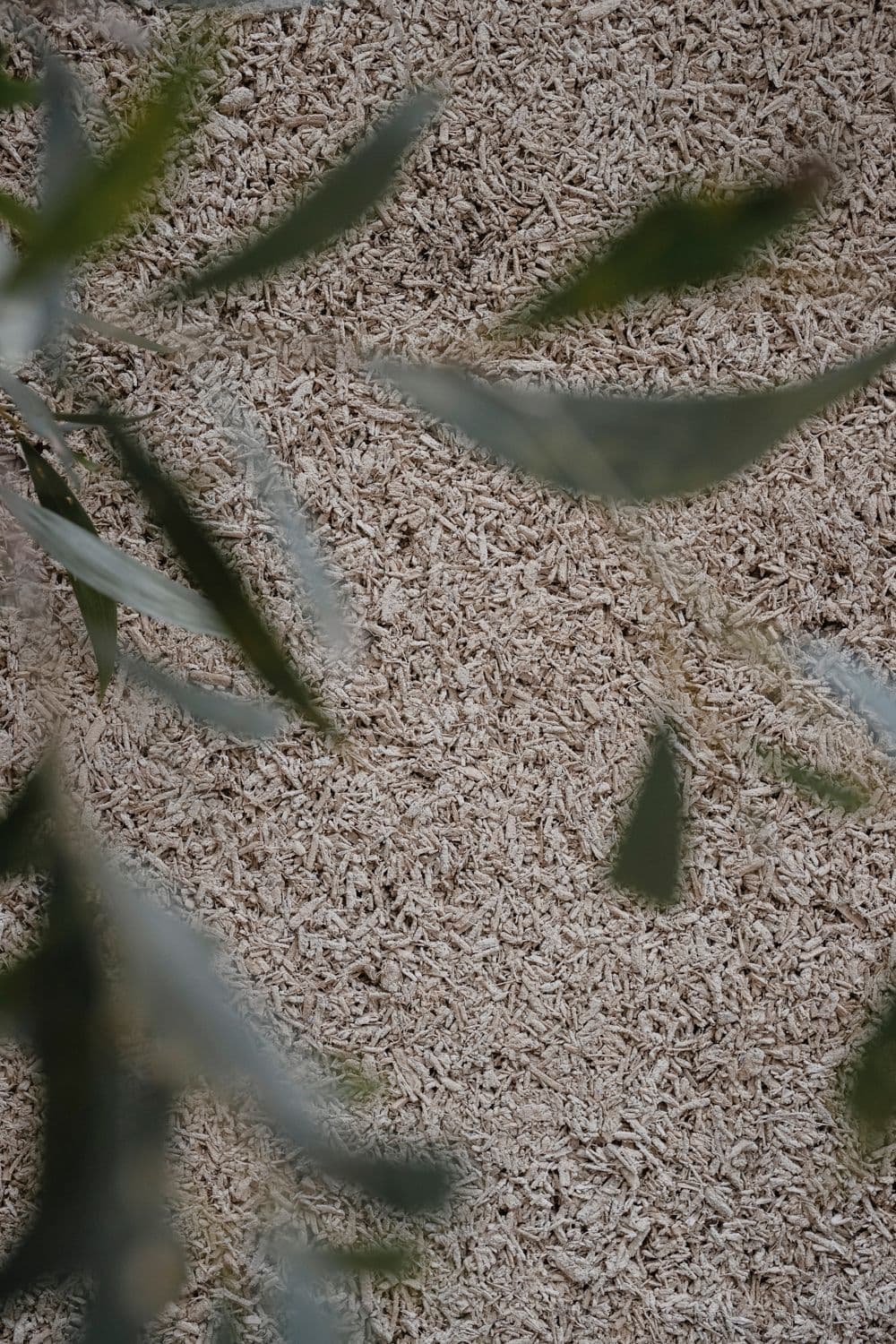 Otetto detail