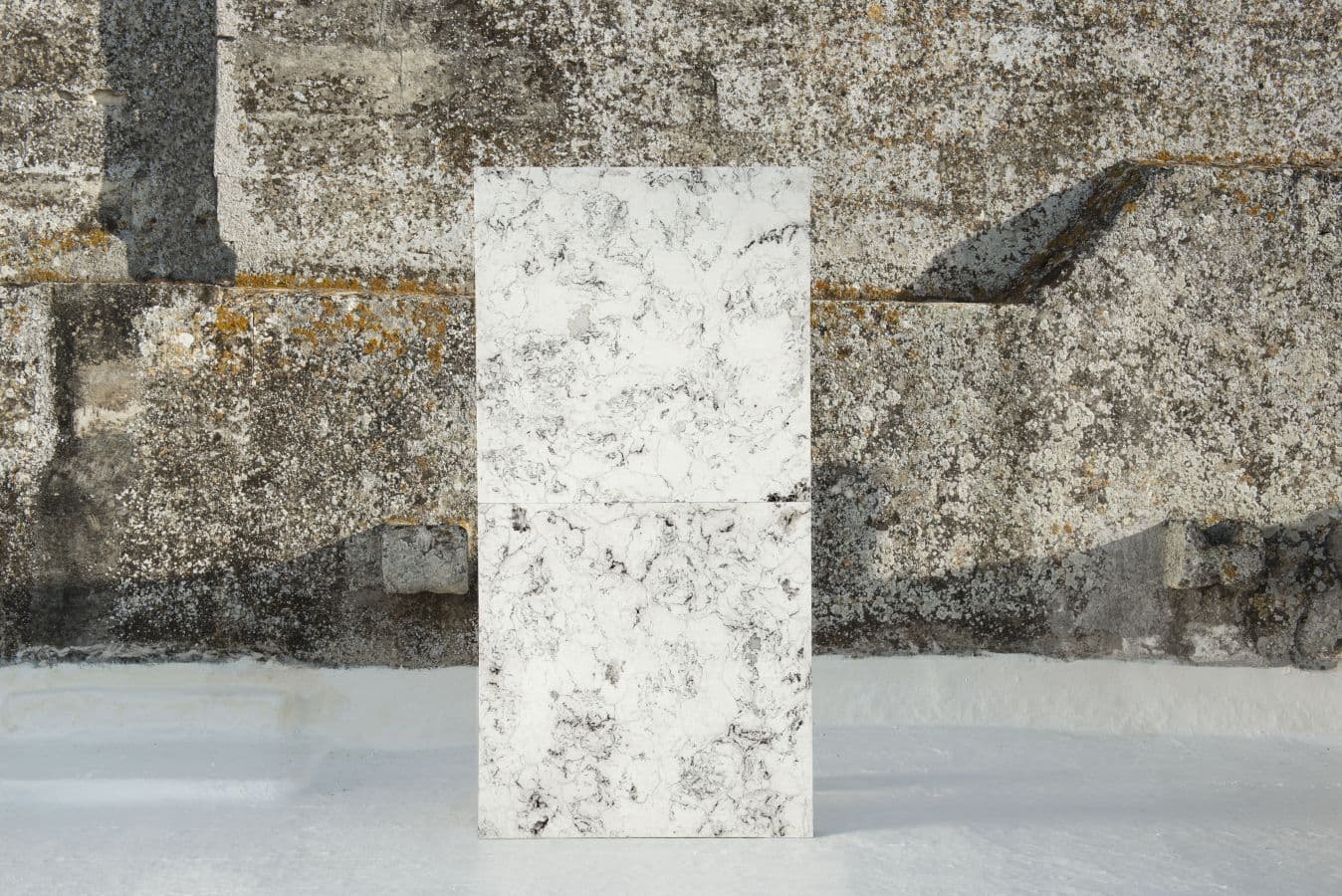 Veins Wall Panels