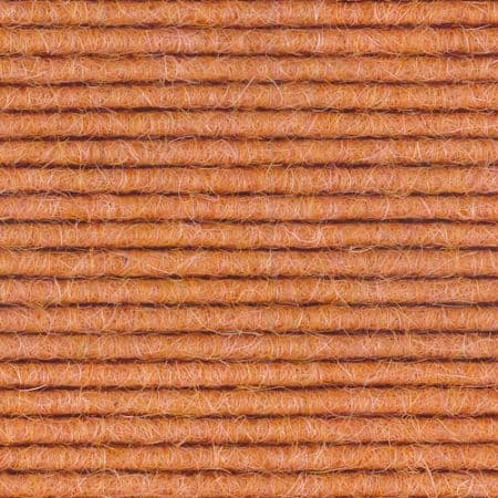 Salmon Texture