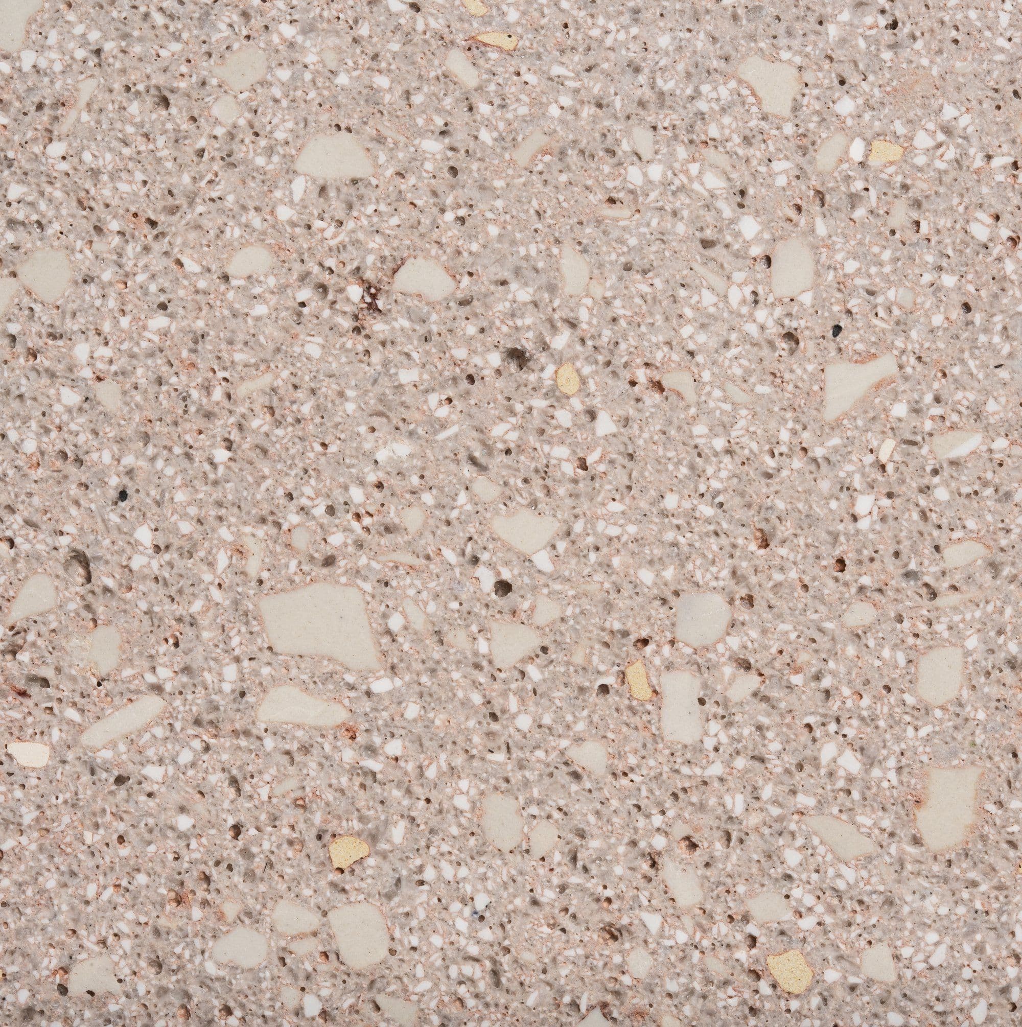 Reef Texture