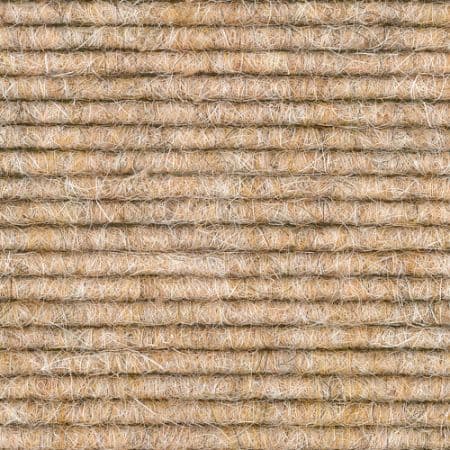 Wild Rice Texture